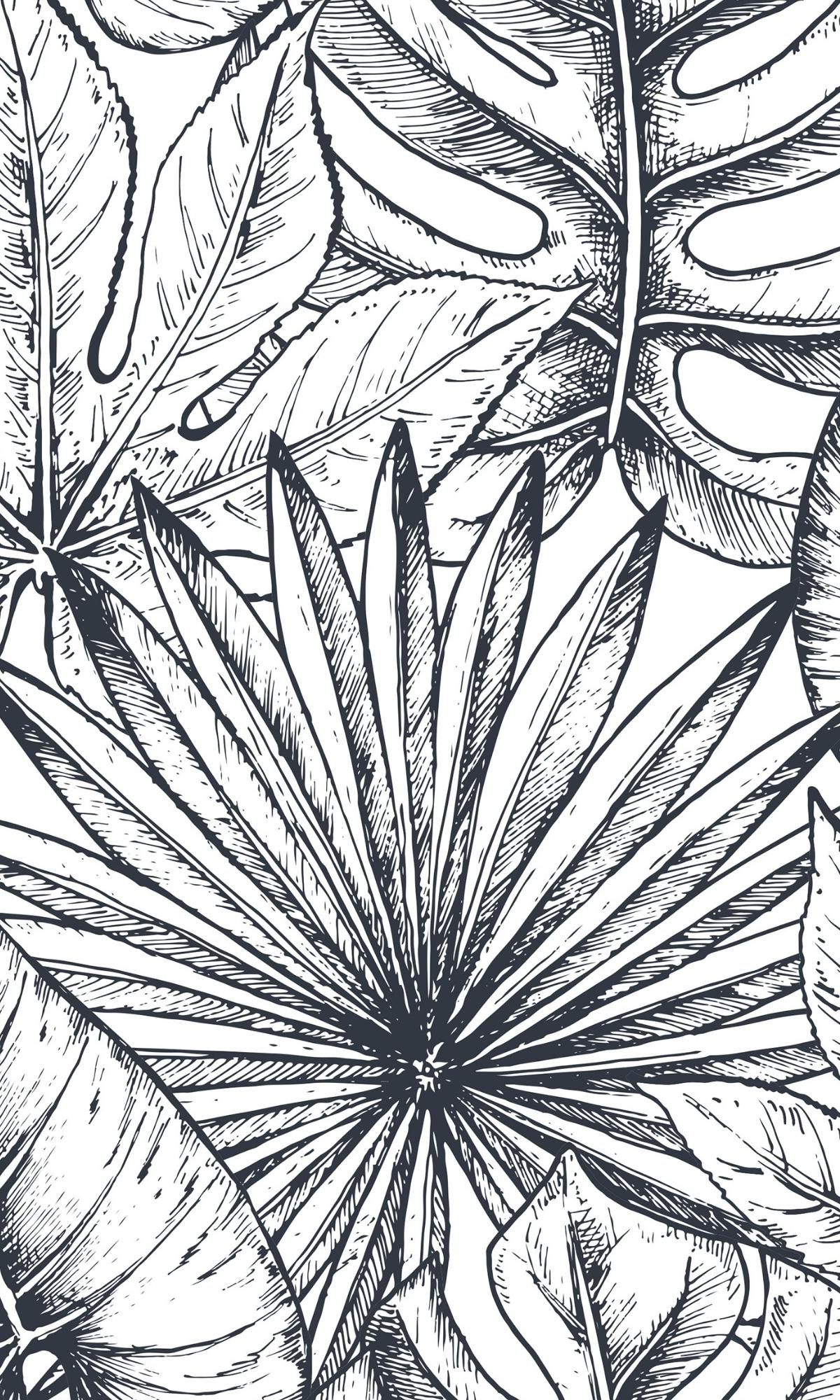 Black And White Sketch of Leaves Mural Wallpaper M1164