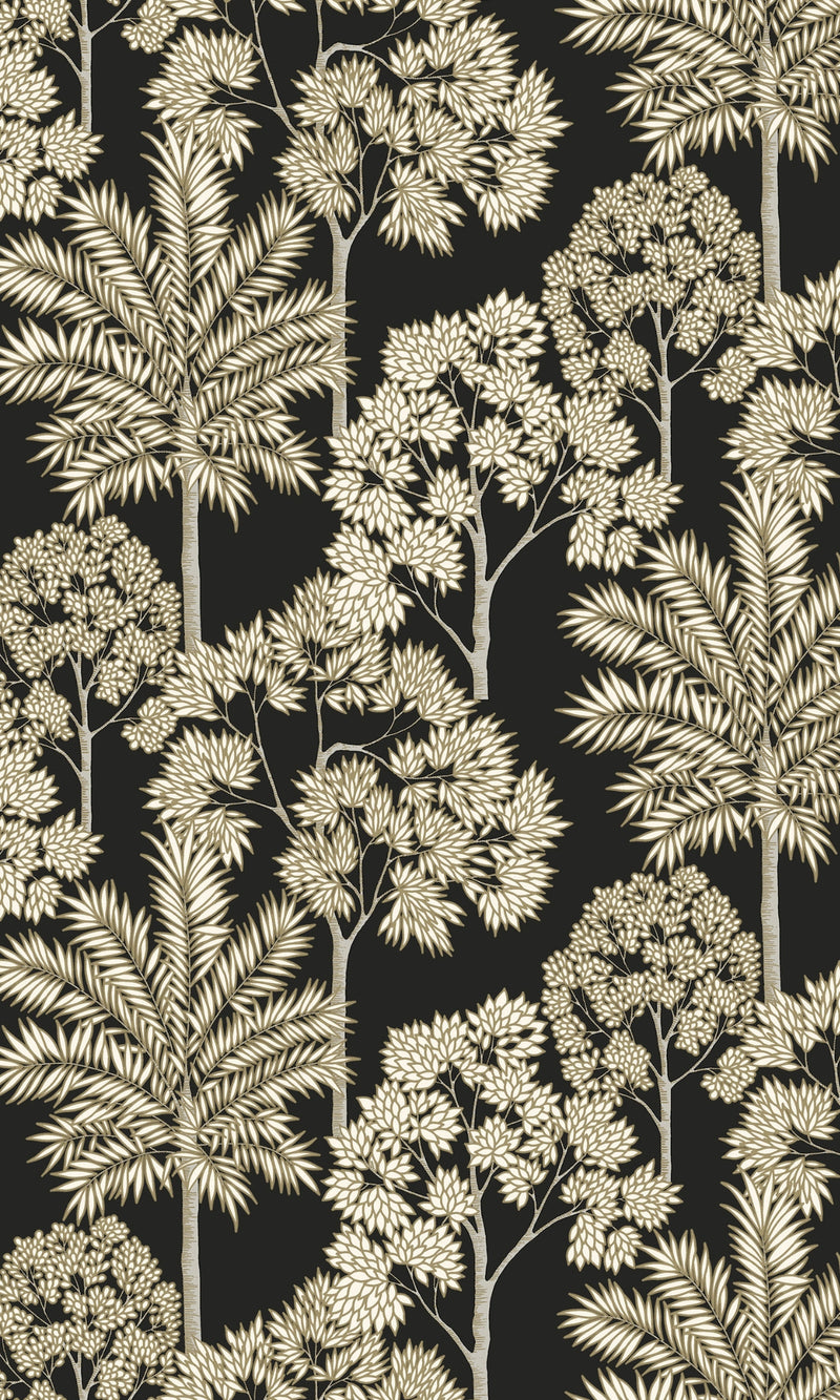 black forest wallpaper, blacl palm wallpaper, black tropica wallpaper, black palm forest tropical wallpaper, bedroom wallpaper ideas, black accent wall, black accent wall ideas, black wall ideas, black feature wall, black wall design ideas, black aesthetic wallpaper, toile wallpaper black, black artistic wallpaper, black art wallpaper, wallpaper black background plain, black vintage wallpaper, black retro wallpaper