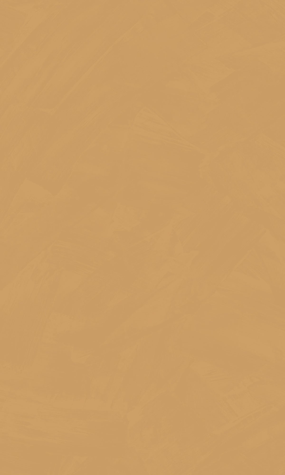 Camel Simple Plain Wallpaper R9163