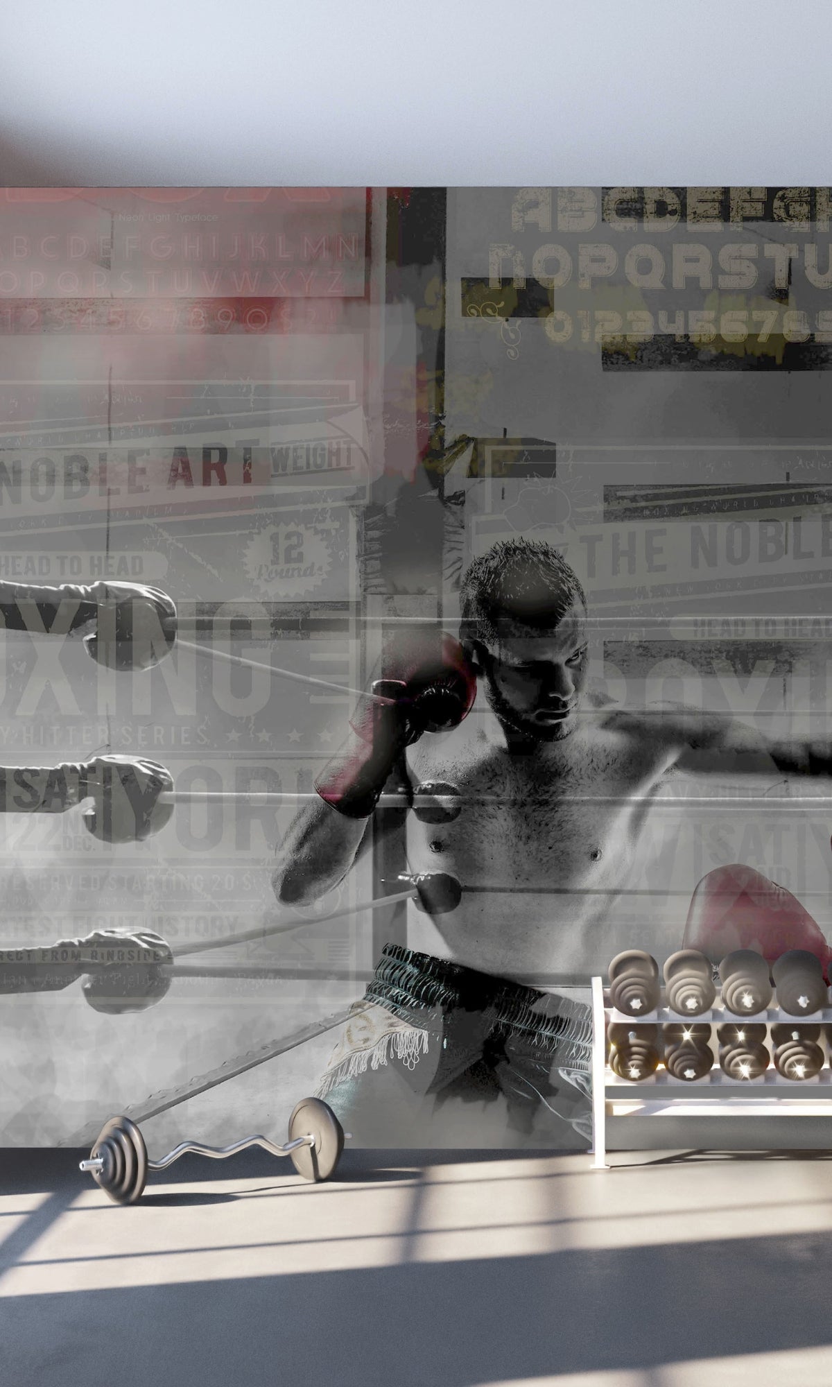 Gray Boxing Poster Mural Wallpaper M1451