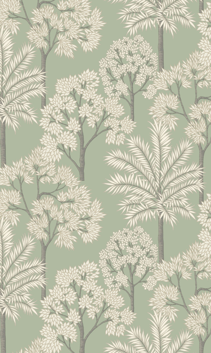 palm leaf background, tropical flower background, pictures of exotic flowers, tropical leaves background, tropical paradise pictures, tropical summer wallpaper, aesthetic palm tree wallpaper, banana leaf wallpaper, birds in flight wallpaper, palm tree wallpaper, flamingo wallpaper, floral bird wallpaper, bird wallpaper decor, bird wallpaper pattern, leaf wallpaper, jungle background wallpaper, hidden jungle wallpaper, jungle print wallpaper, jungle theme wallpaper, tropical jungle wallpaper, rain forest