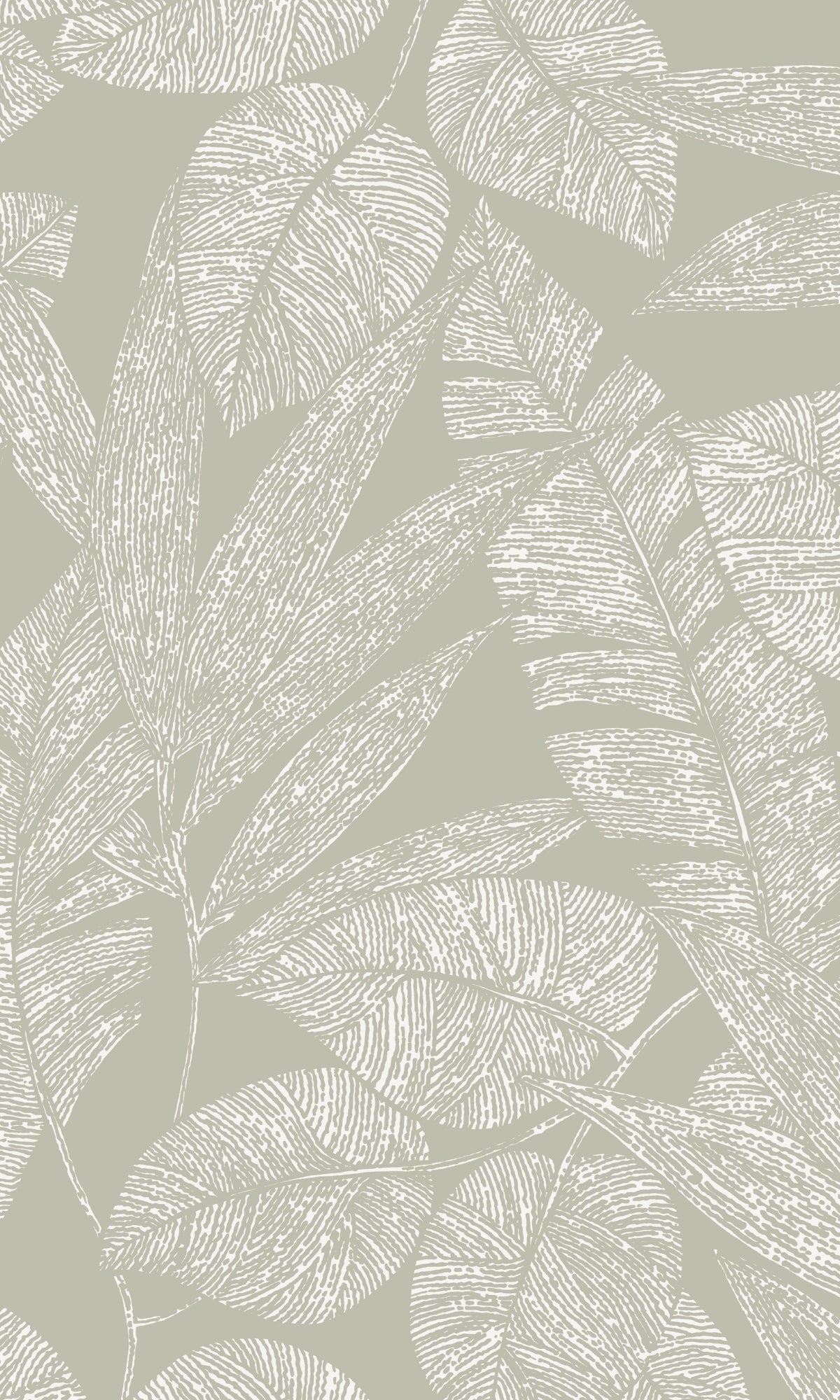 Grey Digital Leaf Outline Botanical Wallpaper, banana leaf backdrop, banana leaf wallpaper, banana leaf wallcovering, banana leaves wallpaper, banana leaf wallpaper for home, banana leaf background, banana leaves wallpaper walls, banana leaves wallpaper for walls, banana leaves wallpaper