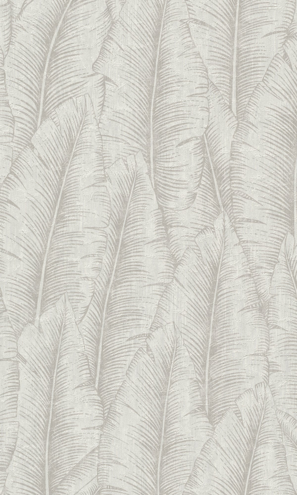 Grey Tropical Leaves Botanical Wallpaper R8731