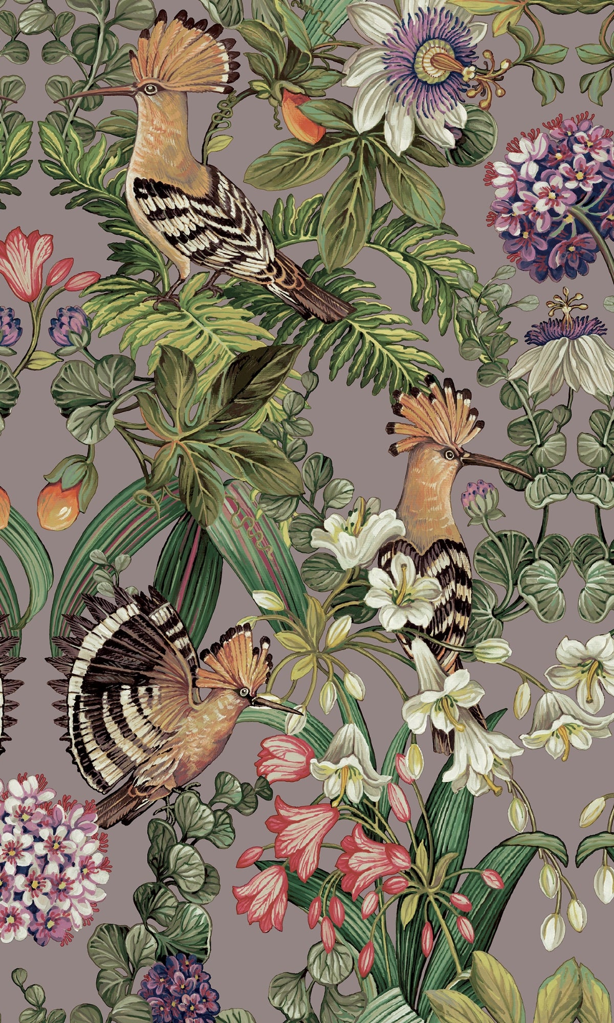 tropical flower background, pictures of exotic flowers, tropical leaves background, tropical paradise pictures, tropical summer wallpaper, aesthetic palm tree wallpaper, banana leaf wallpaper, birds in flight wallpaper, palm tree wallpaper, flamingo wallpaper, floral bird wallpaper, bird wallpaper decor, bird wallpaper pattern, leaf wallpaper, jungle background wallpaper, hidden jungle wallpaper, jungle print wallpaper, jungle theme wallpaper, tropical jungle wallpaper, rain forest wall paper, jungle foliag