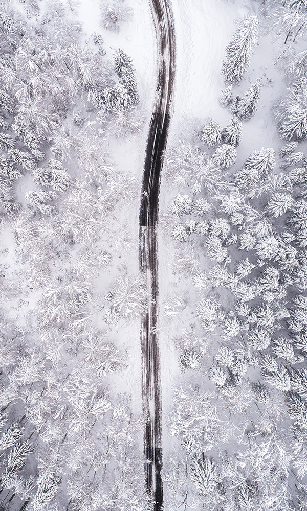 Driving Through Winter Forest Grey Mural M9404