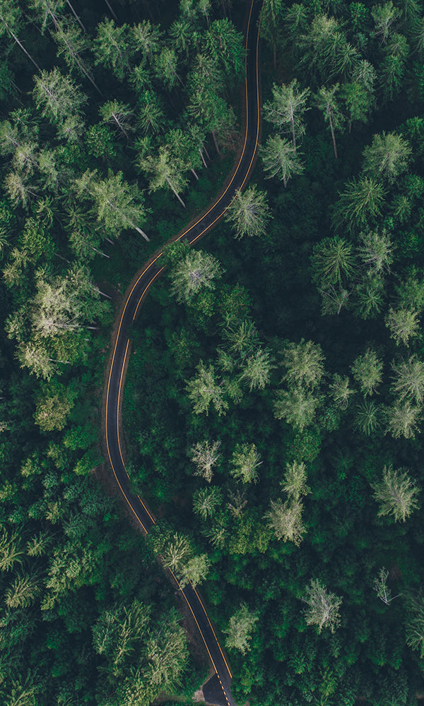The Hidden Road Mural Wallpaper M9406