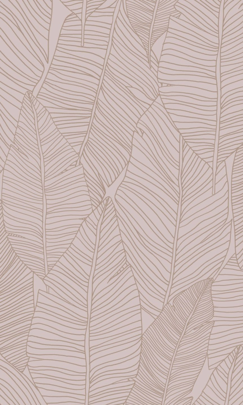 Pink Leaf Outline Abstract Wallpaper, banana leaf backdrop, banana leaf wallpaper, banana leaf wallcovering, banana leaves wallpaper, banana leaf wallpaper for home, banana leaf background, banana leaves wallpaper walls, banana leaves wallpaper for walls, banana leaves wallpaper