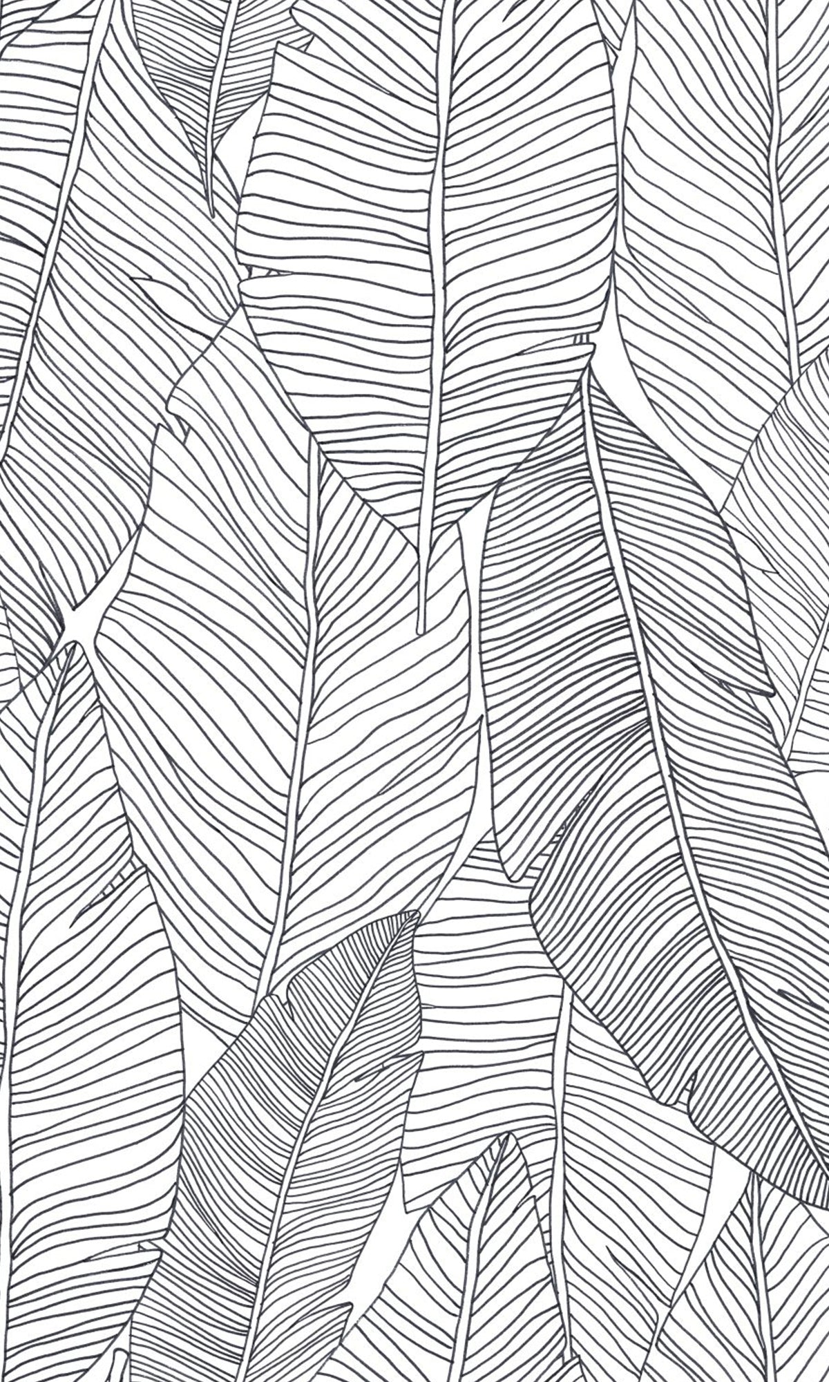Black and White Pen Drawn Leaves Wallpaper, banana leaf backdrop, banana leaf wallpaper, banana leaf wallcovering, banana leaves wallpaper, banana leaf wallpaper for home, banana leaf background, banana leaves wallpaper walls, banana leaves wallpaper for walls, banana leaves wallpaper