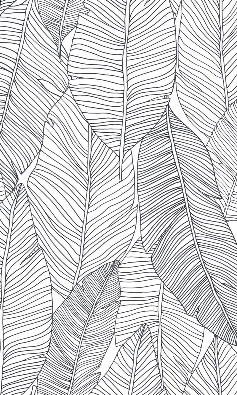 Black and White Pen Drawn Leaves Wallpaper, banana leaf backdrop, banana leaf wallpaper, banana leaf wallcovering, banana leaves wallpaper, banana leaf wallpaper for home, banana leaf background, banana leaves wallpaper walls, banana leaves wallpaper for walls, banana leaves wallpaper