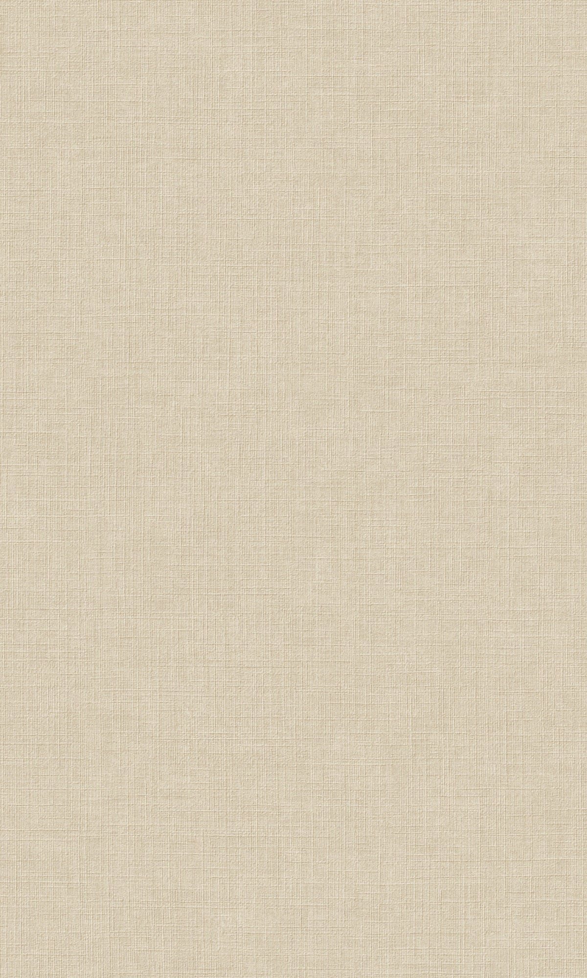 Taupe Plain Textured Wallpaper R9231