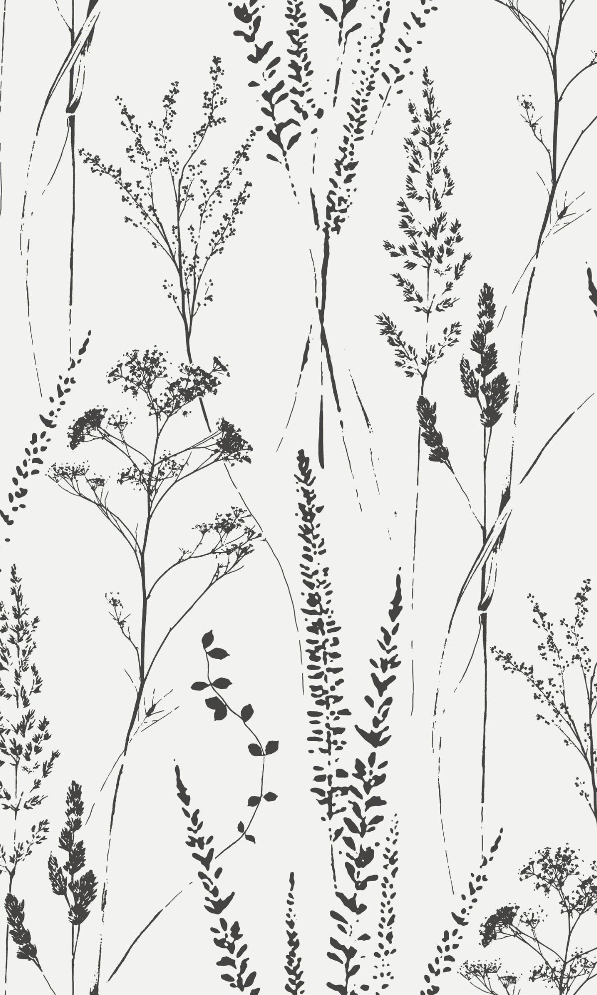 White Meadow Grasses Tropical Wallpaper R9330