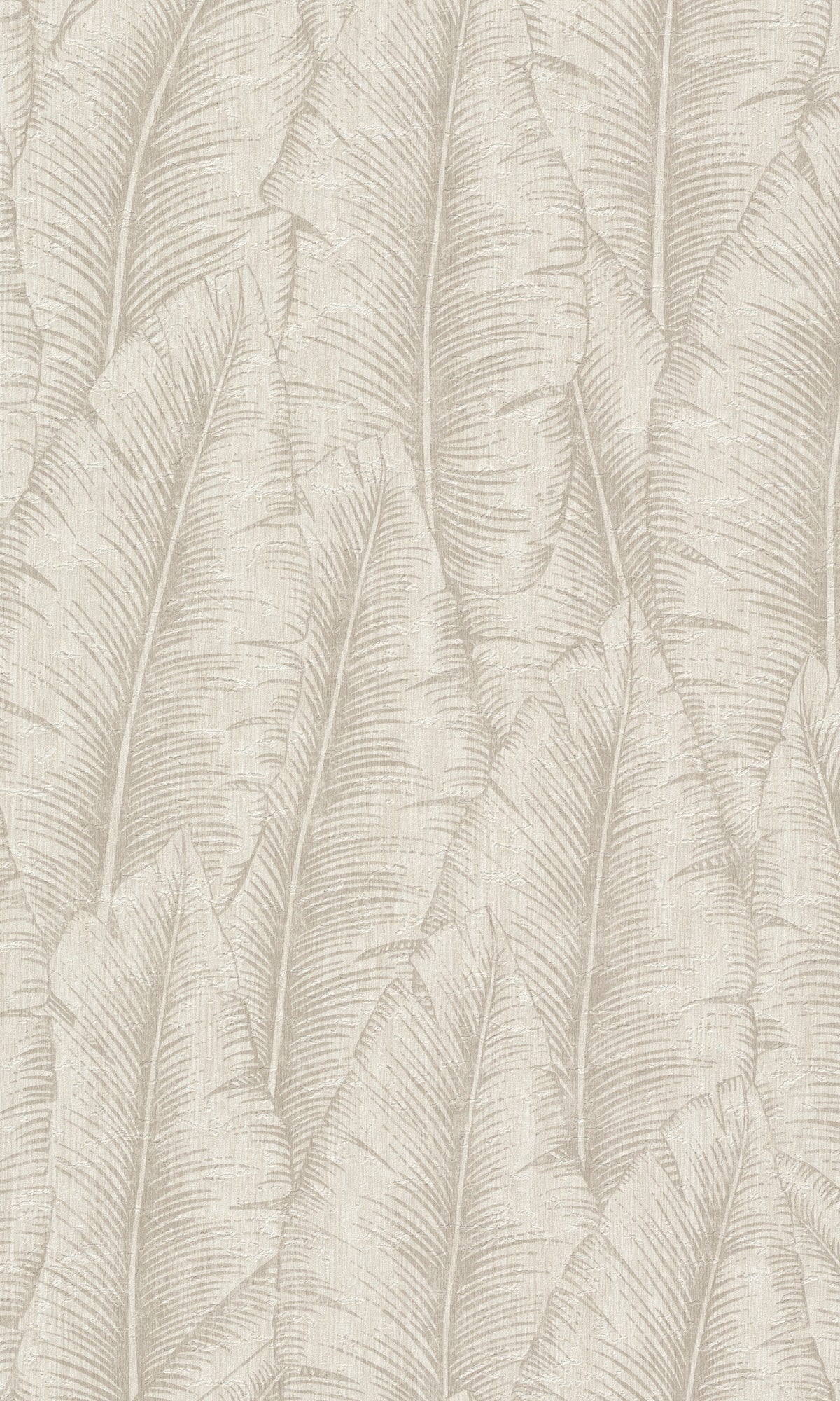 White Tropical Leaves Botanical Wallpaper R8729
