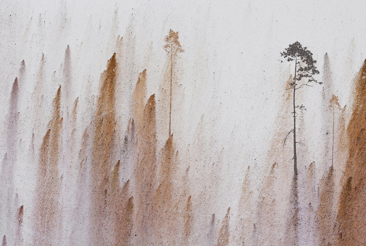 Tree Whisperer Mural Wallpaper M9223