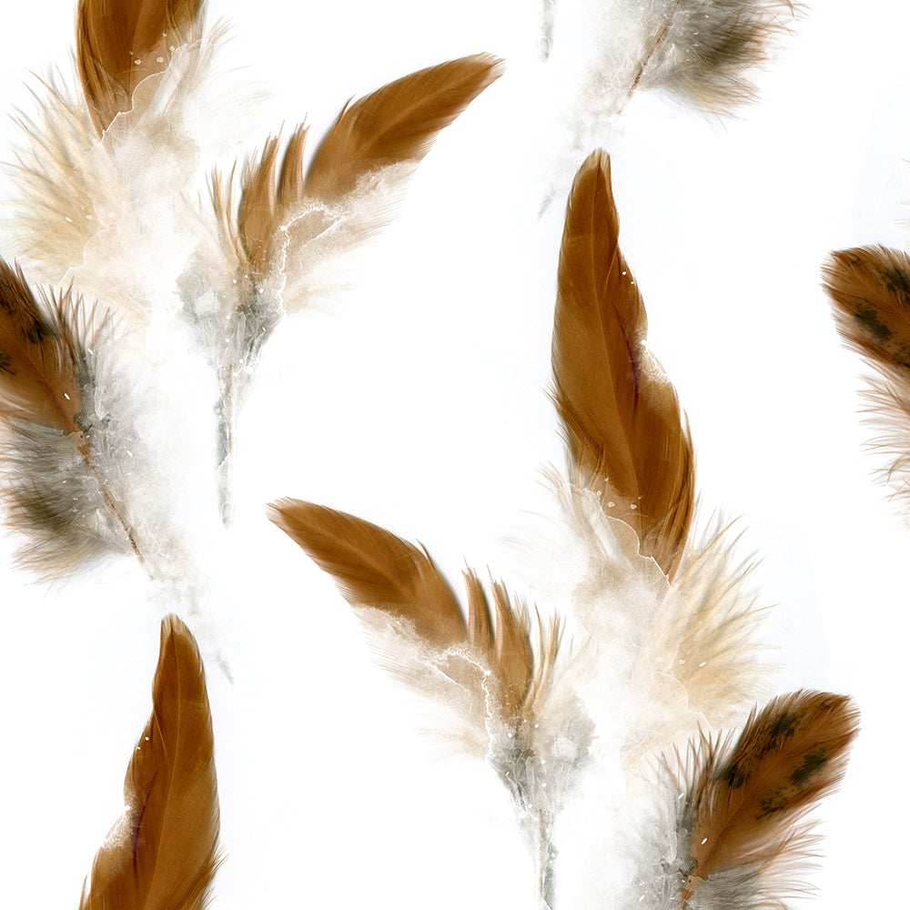 Flying Feathers Minimalist Mural Wallpaper M9326