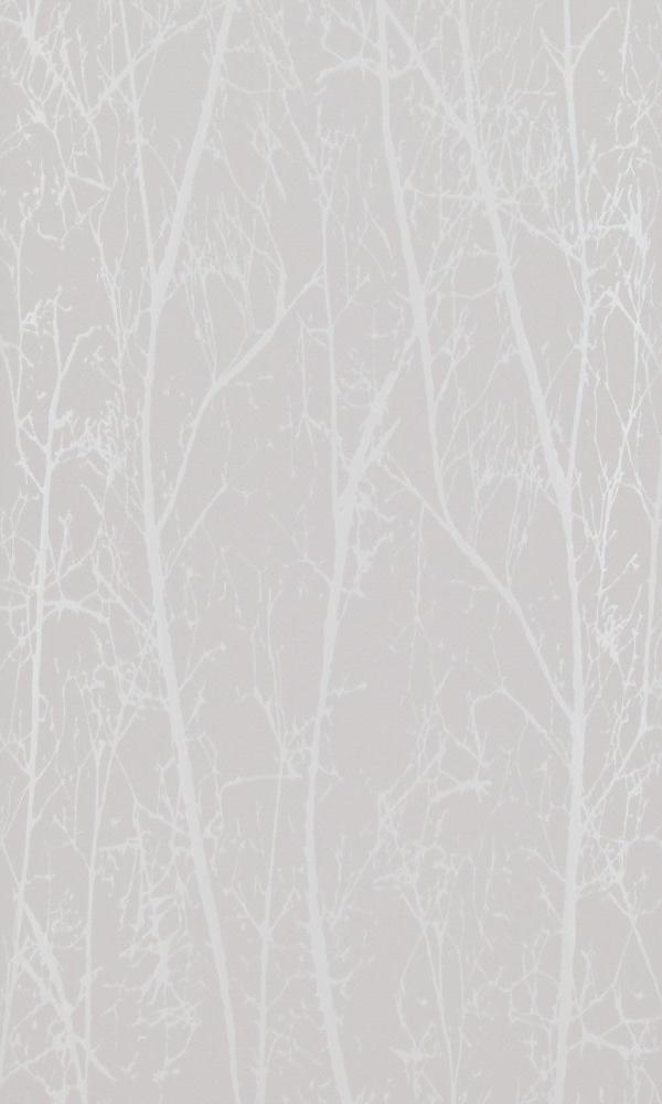 Contemporary Winter Trees Taupe And Pearl Wallpaper R4096