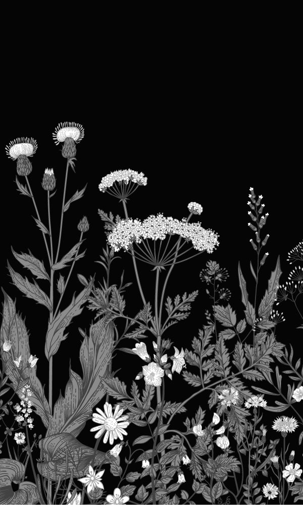 Black Illustrated Blooming Flowers Mural Wallpaper M9443