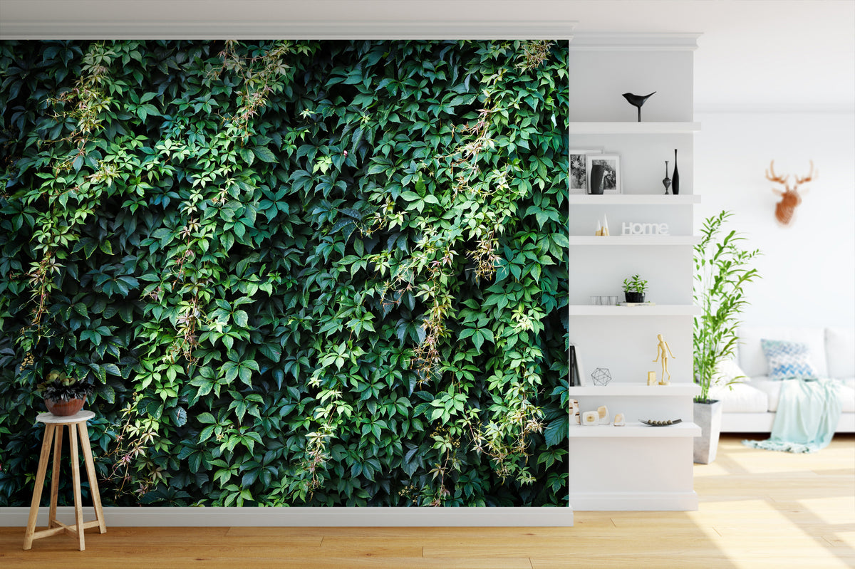 overgrowth climbing ivy leaves living wall nature wallpaper mural