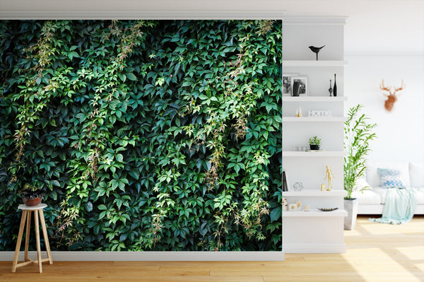 Wall Mural Ivy on the Wall - Green Vines on a Red Brick Wall - Landscapes -  Wall Murals