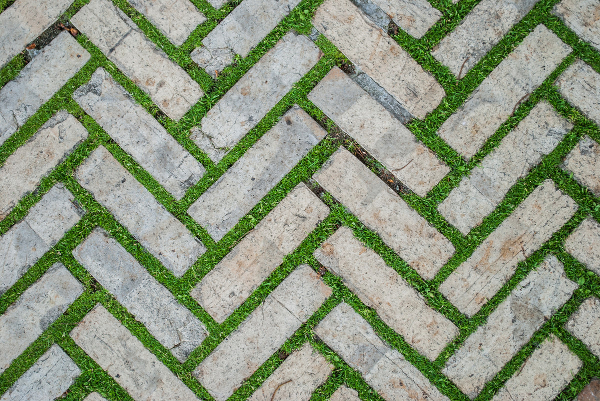 overgrowth herringbone masonry living wall wallpaper mural