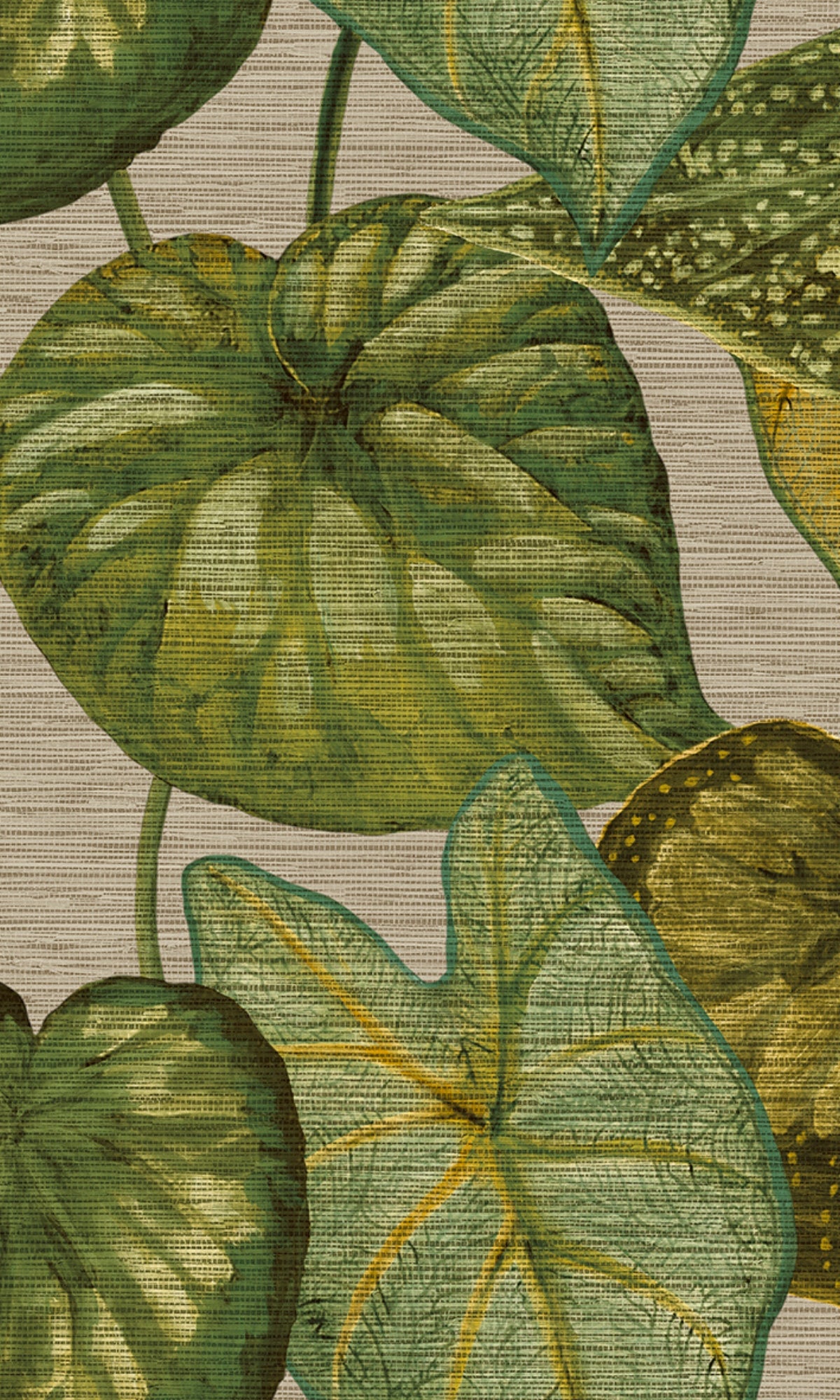 Beige & Green Bold Tropical Leaves R8235