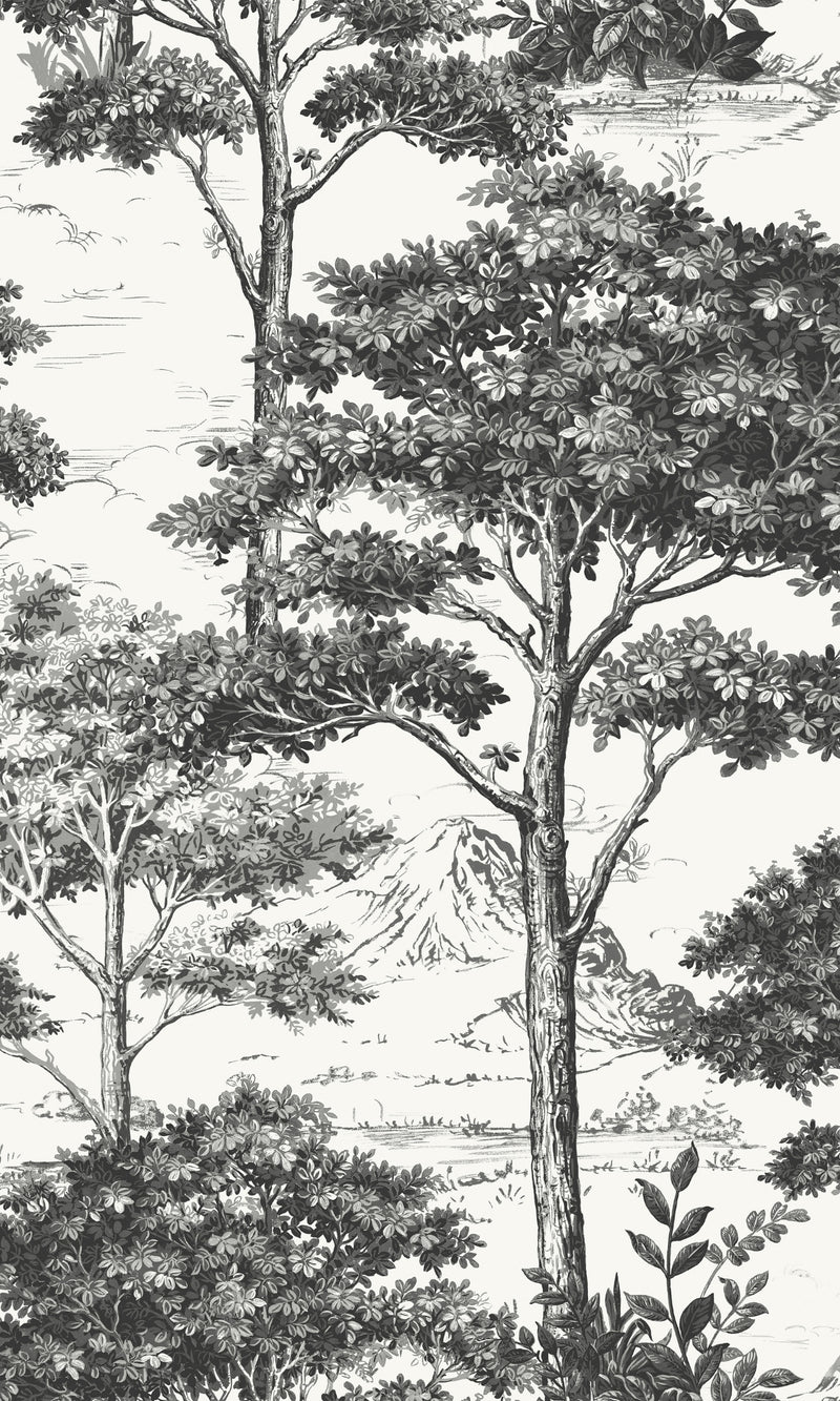 black tropical wallpaper, black trees wallpaper, black tropical foliage tresss wallpaper, bedroom wallpaper ideas, black accent wall, black accent wall ideas, black wall ideas, black feature wall, black wall design ideas, black aesthetic wallpaper, toile wallpaper black, black artistic wallpaper, black art wallpaper, wallpaper black background plain, black vintage wallpaper, black retro wallpaper