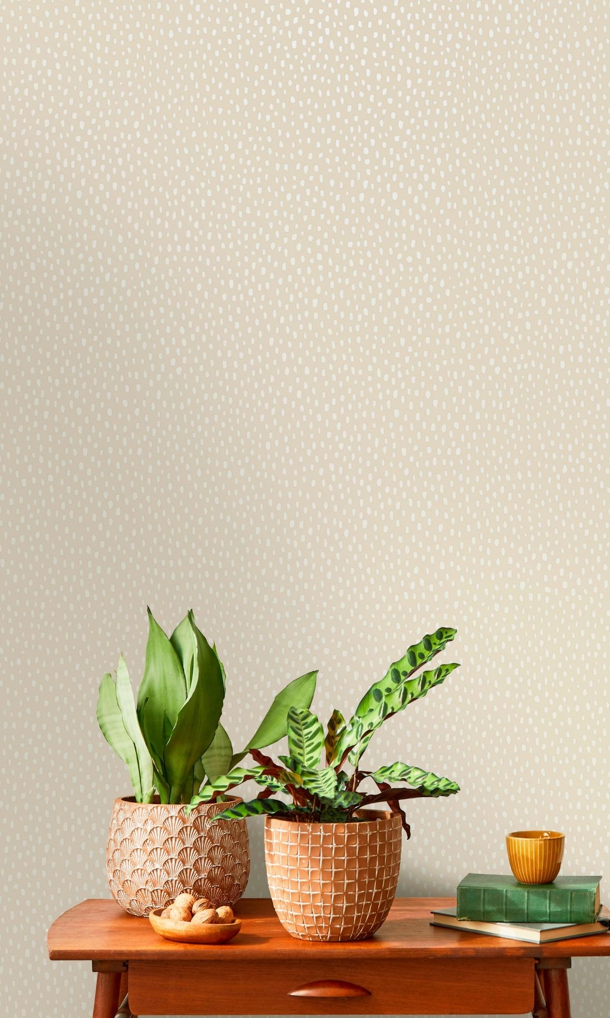Cream Dotted Plain Simple Textured Wallpaper R7608