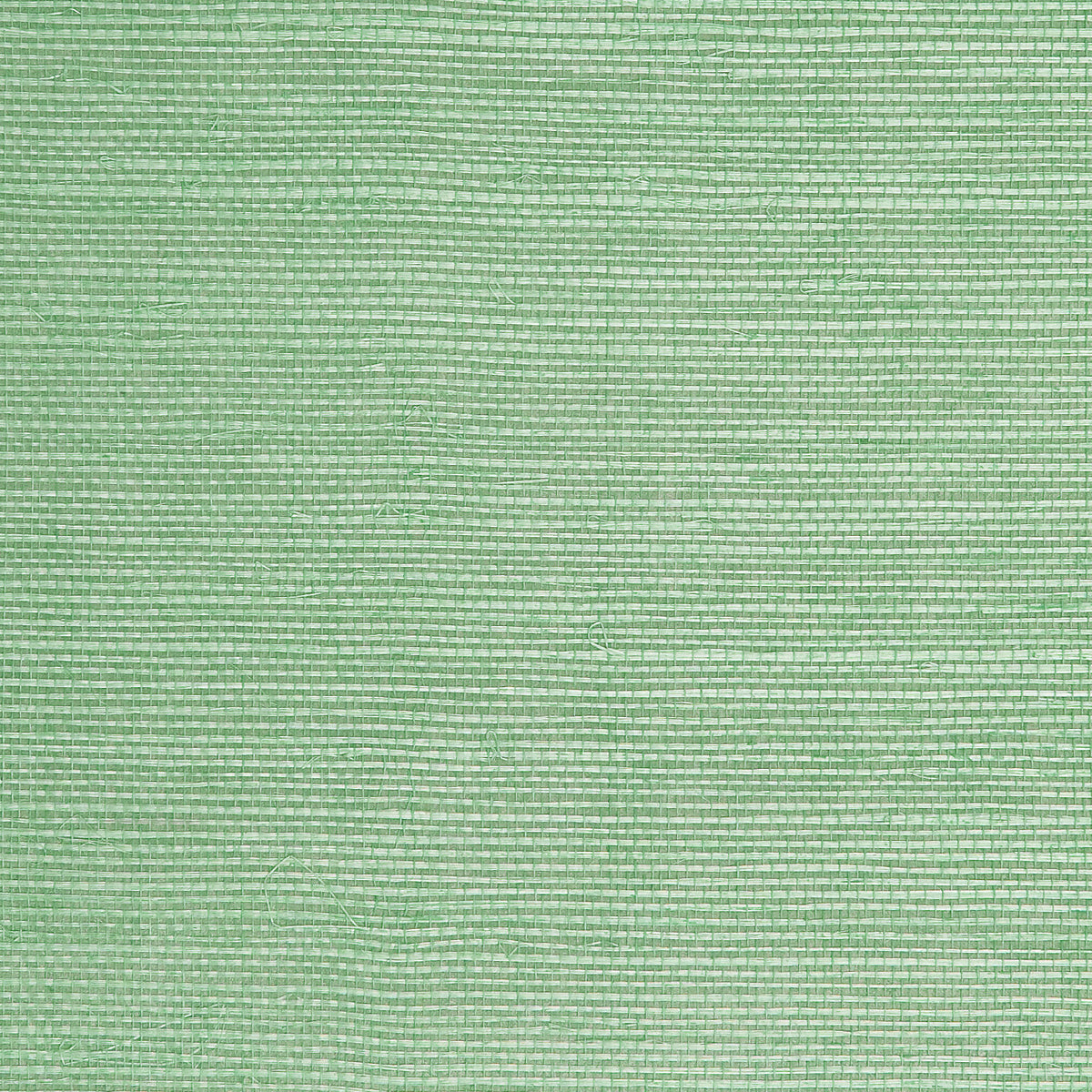 Blue Green Ramie Majestic Grasscloth Wallpaper R2006