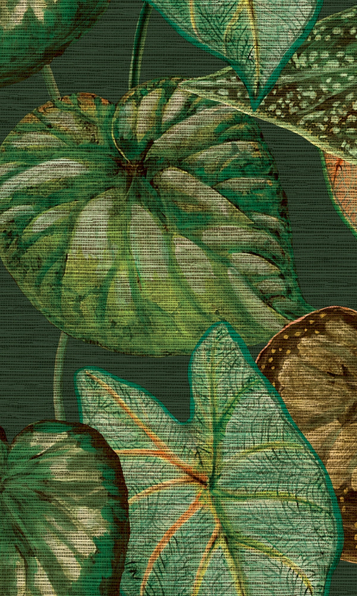 tropical flower background, pictures of exotic flowers, tropical leaves background, tropical paradise pictures, tropical summer wallpaper, aesthetic palm tree wallpaper, banana leaf wallpaper, birds in flight wallpaper, palm tree wallpaper, flamingo wallpaper, floral bird wallpaper, bird wallpaper decor, bird wallpaper pattern, leaf wallpaper, jungle background wallpaper, hidden jungle wallpaper, jungle print wallpaper, jungle theme wallpaper, tropical jungle wallpaper, rain forest wall paper, jungle foliag