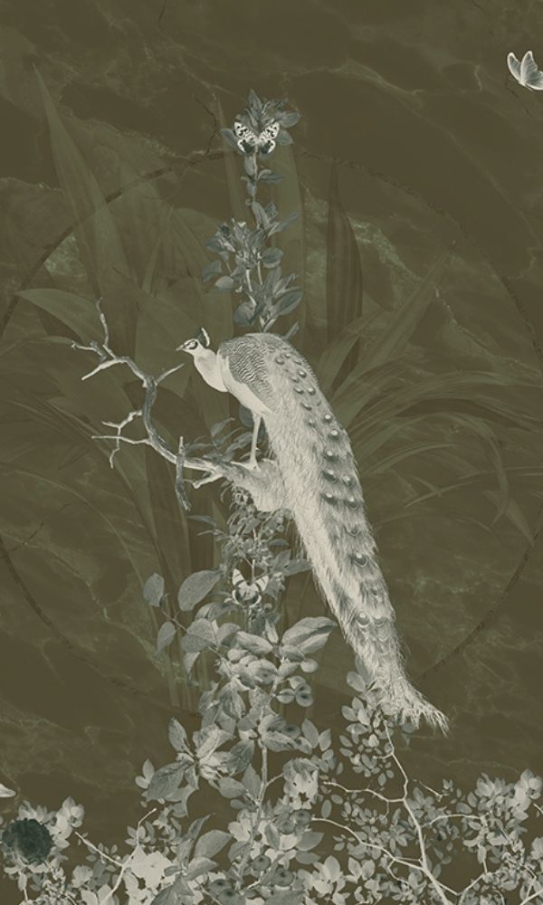 Peacock Forest at Night Tropical Wallpaper Mural M1069