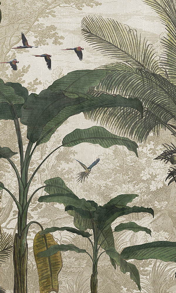 tropical jungle illustration mural wallpaper