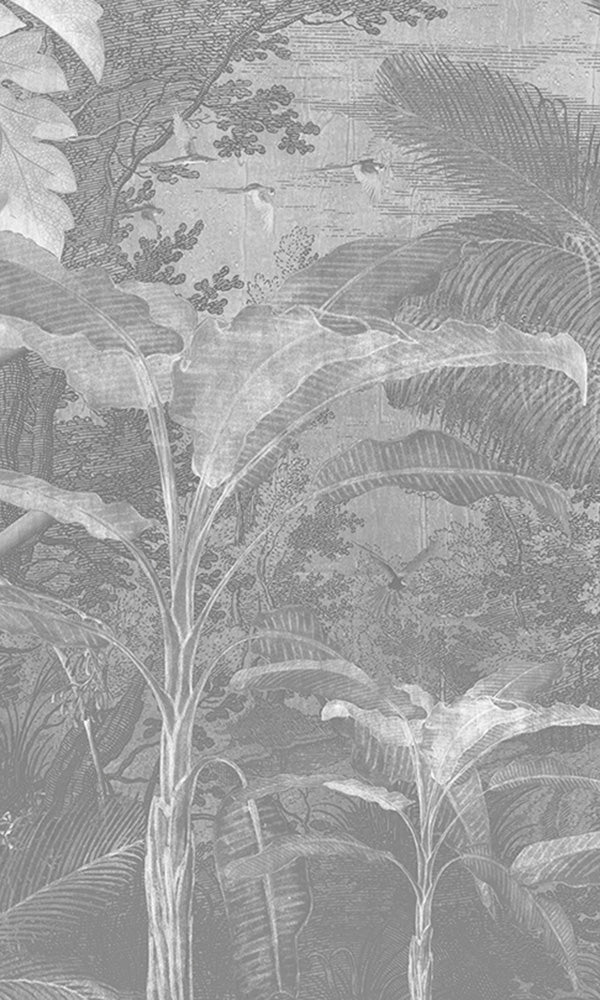 tropical jungle illustration mural wallpaper