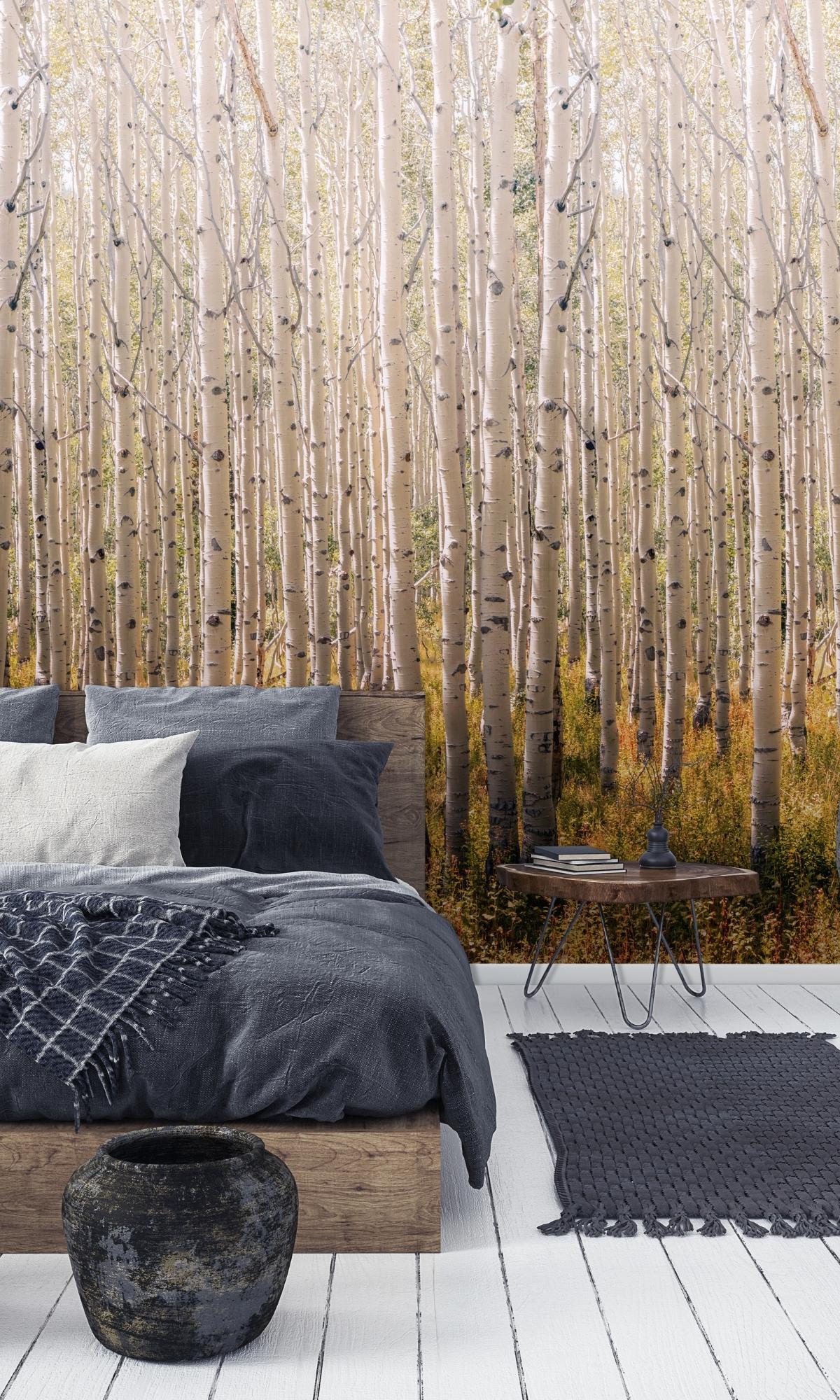 Birch Tree Forest Digital Wallpaper RM2038