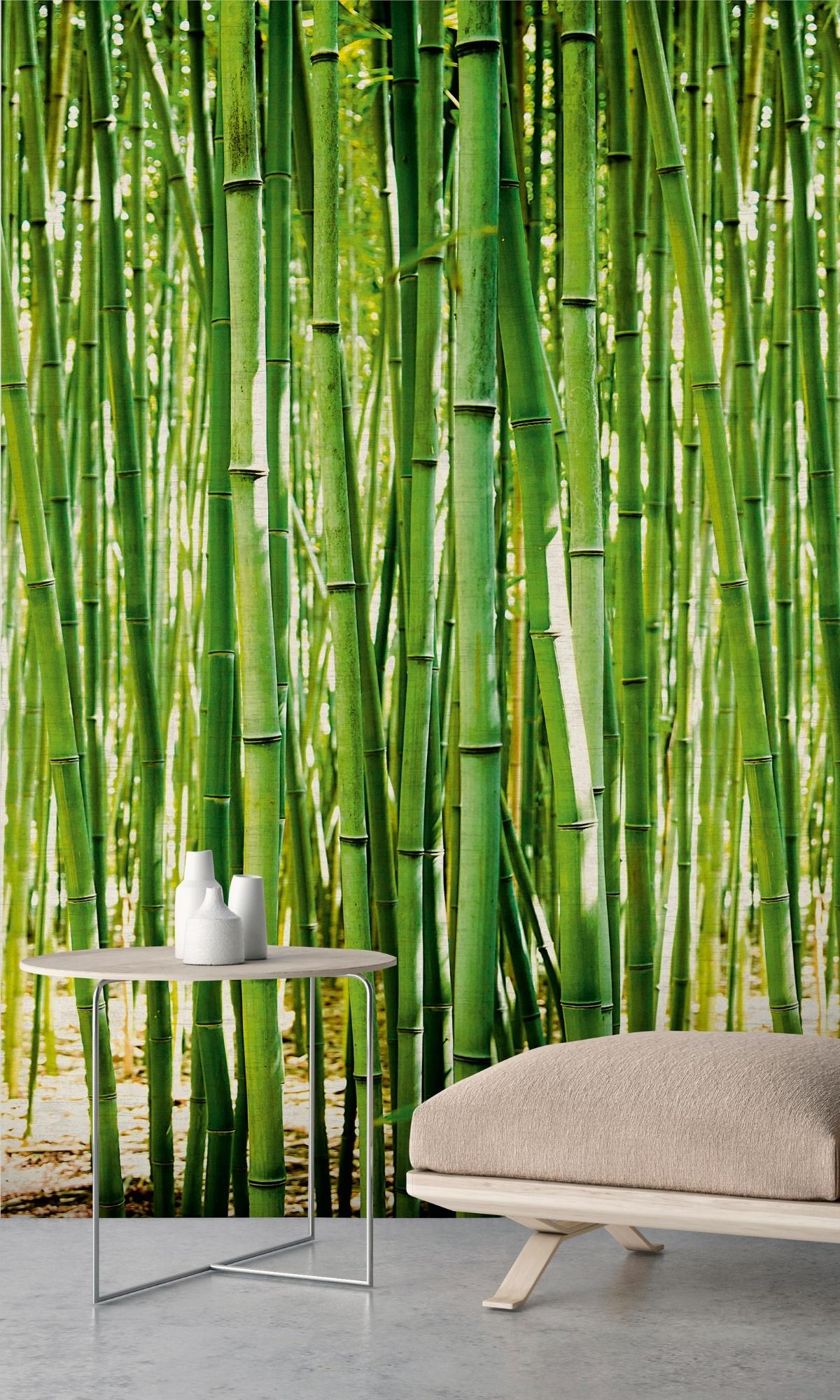 Green Shaft Tropical Digital Wallpaper RM2039
