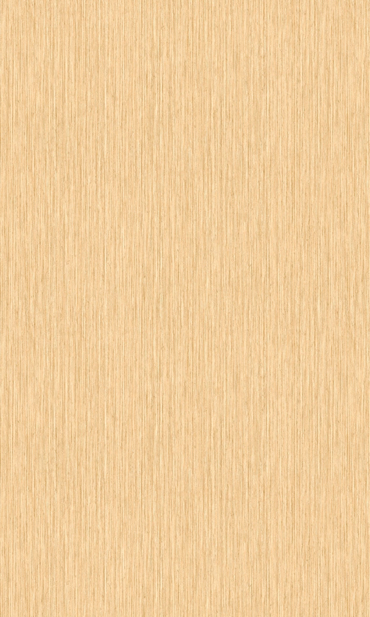 Sand Plain Textured Wallpaper R8109