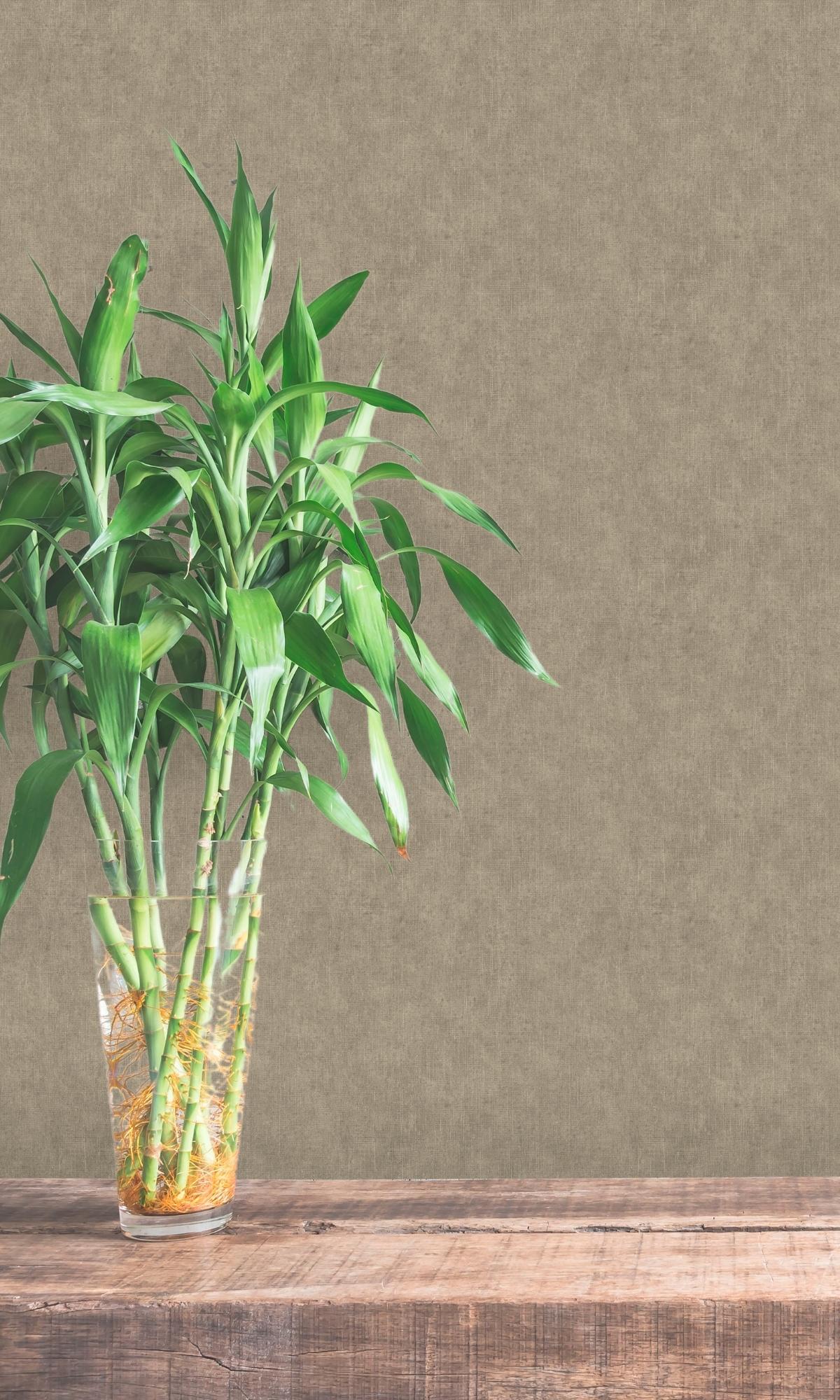 Taupe Grasscloth-like Natural Wallpaper R7898