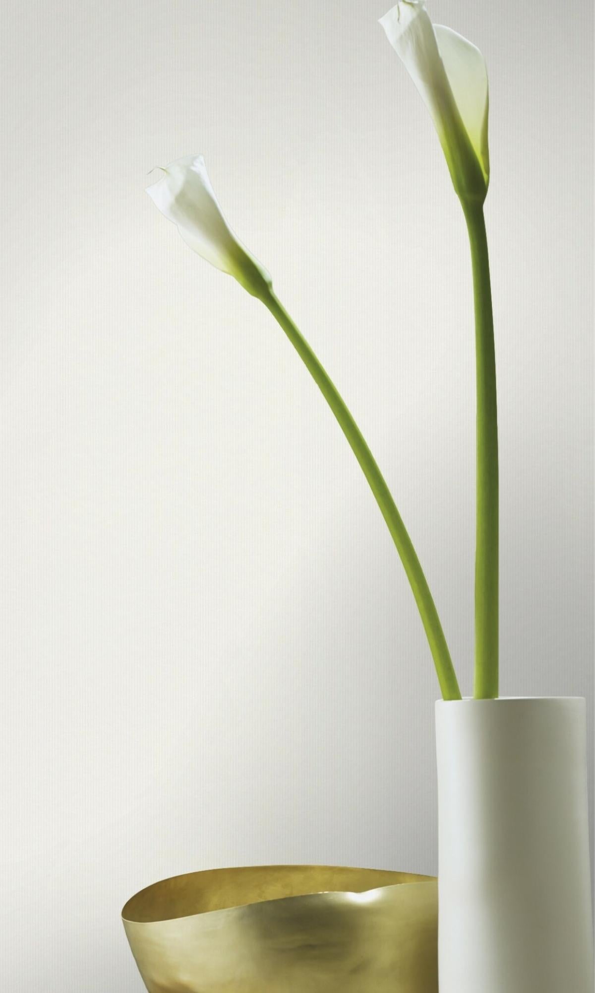White Elegant Stripe Wallpaper R7883
