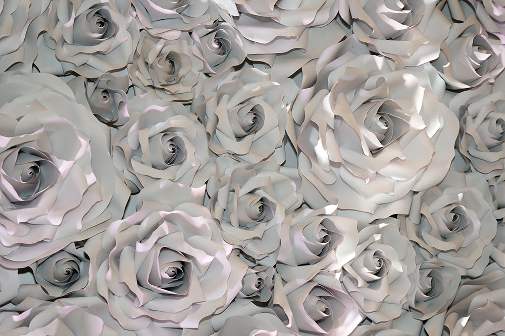 3D Sculpted Roses Mural Wallpaper M9328
