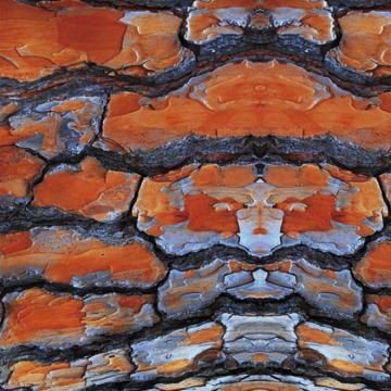 Orange Stone Alloy Mural Wallpaper M8928