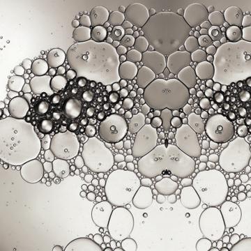 Black & White Slick-liked Mural Wallpaper M8943. Digital wallcovering.