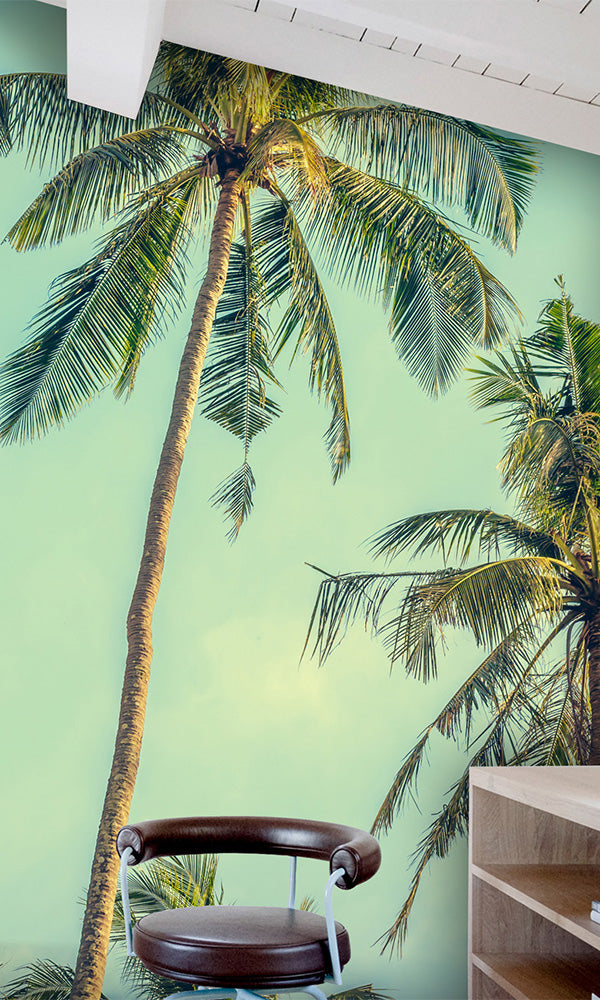 palm trees tropical spa wallpaper