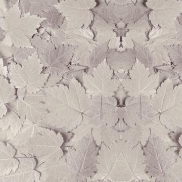 Fall Maple Leaf Pattern Mural Wallpaper M8951