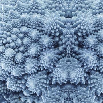 Blue Corals Underwater Mural M8960 | Digital Wallpaper