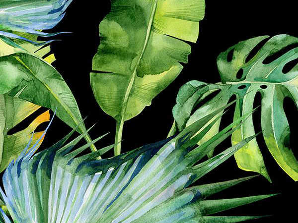 Top 6 Nature-Inspired Wallpaper Murals 2022