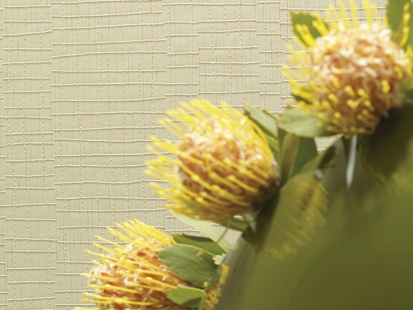 Commercial Wallpapers For Healthcare Spaces