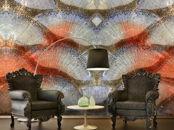 Astoundingly Transformative Contemporary Digital Murals to Redefine Your Perception of Space