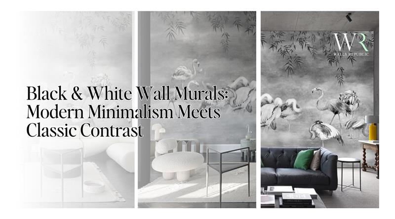 Black & White Wall Murals: Modern Minimalism Meets Classic Contrast
