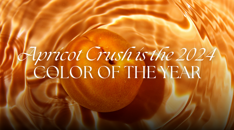 Apricot Crush is the 2024 COLOR OF THE YEAR