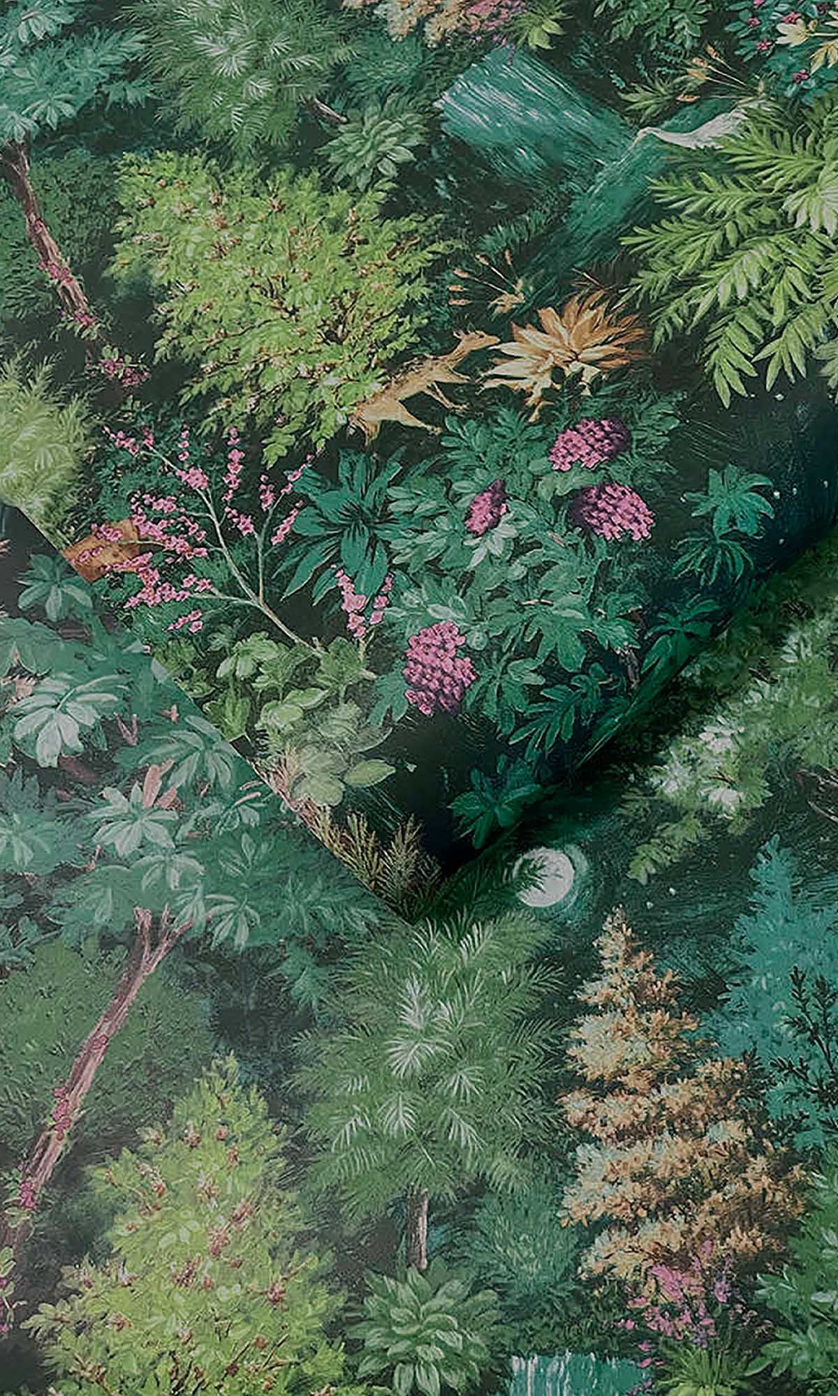 Forest Wallpaper