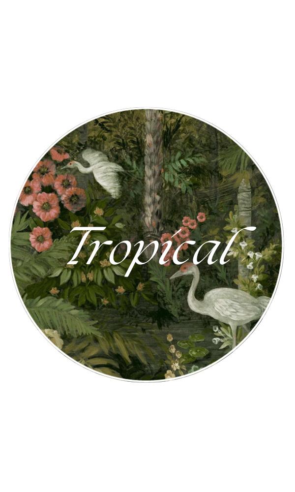 Tropical Wallpaper