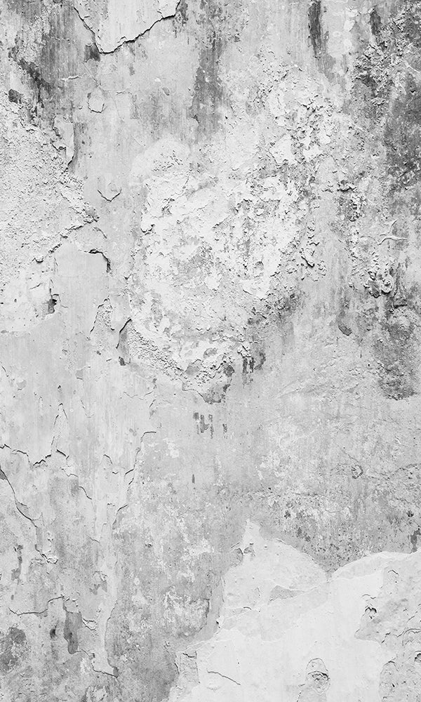 Grey Corroding Concrete Wall Mural M9455